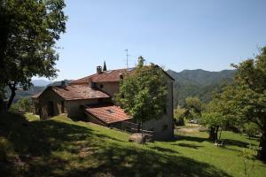 una vieja casa en una colina en un campo en Agriturismo I Monti di Salecchio, en Palazzuolo sul Senio