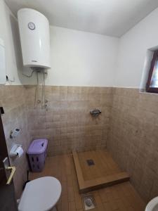 a bathroom with a tiled shower with a toilet at Maki 4 in Radanovići +8 photos