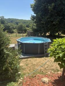 a large swimming pool in a yard with a tree at La Vache Bleue in Saint-Pierre-de-Fursac
