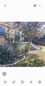two pictures of a park with a tree and a ramp at Chez lydie et jeff in Laudun