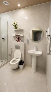 a bathroom with a toilet a sink and a mirror at Sheki Secret Garden Boutique Hotel & Guest House in Sheki