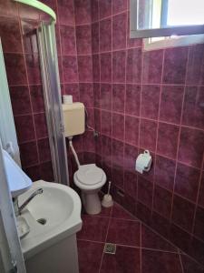 a small bathroom with a toilet and a sink at VILA SZOKE SOVATA in Sovata
