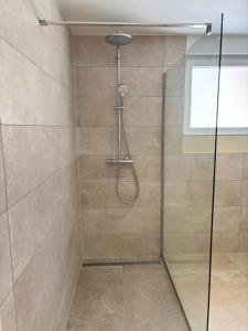 a bathroom with a shower with a glass door at La Loge des Deux Sapins in Oberbetschdorf