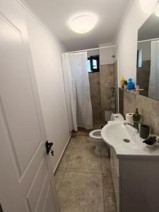a bathroom with a white sink and a toilet at Apartamente 9 Teo in Baile Felix +6 photos