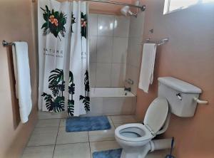 a bathroom with a toilet and a shower curtain at The Mountainstream Lodge in Lethem +20 photos
