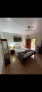 a bedroom with a large bed and a mirror at The Mountainstream Lodge in Lethem