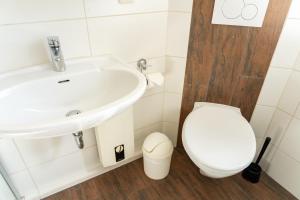 a bathroom with a sink and a toilet at Lister Tor 01 in List +5 photos