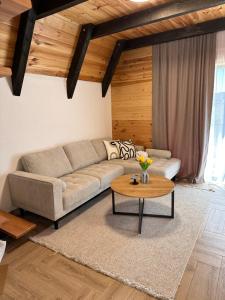 a living room with a couch and a table at Durmitor Panorama in Žabljak
