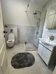 a bathroom with a shower and a toilet and a sink at Durmitor Panorama in Žabljak +12 photos