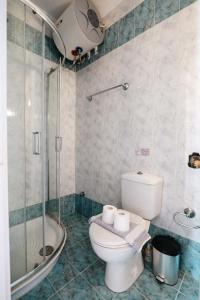 a bathroom with a toilet and a shower at Corfu Dream Holidays Villas in Glyfada +27 photos