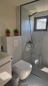 a bathroom with a toilet and a glass shower at 2 4 D2 Mini Condos Studio Loft West facing in Tivat +8 photos