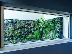 a window in a room with plants in it at Hotel ibis Lisboa Alfragide in Lisbon