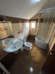 a bathroom with a sink and a toilet and a shower at Pensiunea Edy in Statjunea Borsa