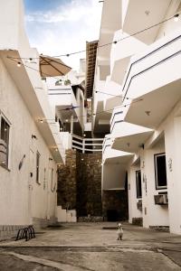 a dog walking in an alley with white buildings at Pousada do Trovão - Melhor localização de Arraial in Arraial do Cabo