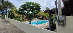 a swimming pool with a tree next to a wall at Pousada Parque dos Coqueiros in Piaçabuçu