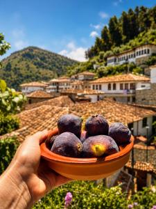 a hand holding a bowl of fruit with a view at Nika's Guest House in Berat +44 photos