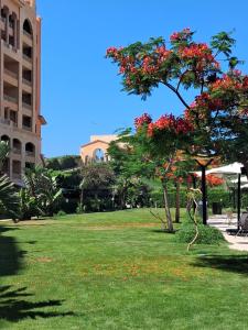a park with a tree with red flowers on it at Marina Valley El Alamein in El Alamein