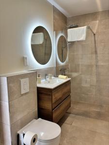 a bathroom with a sink and a toilet and a mirror at Le Studio Côté Cour in Oberbetschdorf