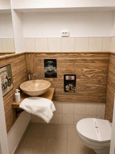 a bathroom with a sink and a toilet at Villa Retró Harmónia in Visegrád