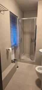 a bathroom with a shower and a toilet and a sink at Drei Schweizer Hotel 201 in Neuwied
