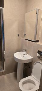 a bathroom with a sink and a toilet and a mirror at Drei Schweizer Hotel 201 in Neuwied