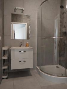 a bathroom with a shower and a sink and a mirror at WINNICA 61 - Pokoje in Krotoszyce +35 photos