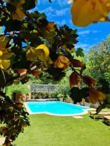 a swimming pool in a yard with green grass at Rêve de roulotte in Apt +5 photos