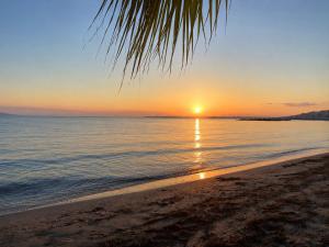 a sunset on the beach with a palm tree at Bellissima Studio Sarafovo е вашият уютен дом само на 3 минути от плажа in Burgas
