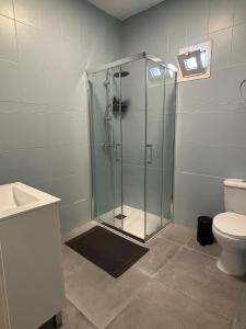 a bathroom with a glass shower with a toilet at El Volcan in Los Llanillos