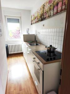 a small kitchen with a stove and a sink at FeWo Dresden-Hellerau in Dresden
