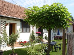 Zahrada ubytování Rózsa Apartman