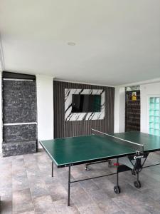 a ping pong table in a room with a tv at Casa Leahu in Baile Unu Mai