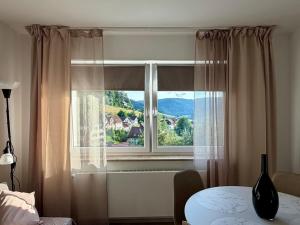 a window with a view of a mountain at Gästehaus Talblick Baiersbronn in Baiersbronn