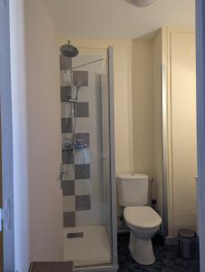 a bathroom with a toilet and a glass shower at Studio Issoire pour 2 adultes et 1 enfant in Issoire