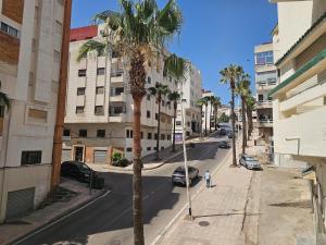 a palm tree on the side of a city street at Le Diamant in Tétouan