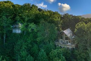 an aerial view of a house in the trees at Spectacular Mountain View - Cloud 9 - HotTub-PETS OK in Cleveland