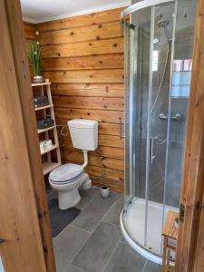 a bathroom with a toilet and a shower at Haus der Sinne in Buddenhagen