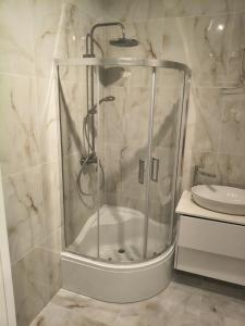 a shower in a bathroom with a toilet and a sink at Apartament Matki Polki II in Łódź
