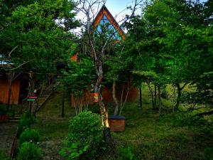 a tree in a yard with a house in the background at Mtis qokhi Twins in Mtskheta