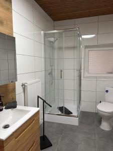 a bathroom with a shower and a toilet and a sink at Patrycja 2 Top 1 in Ehenbichl