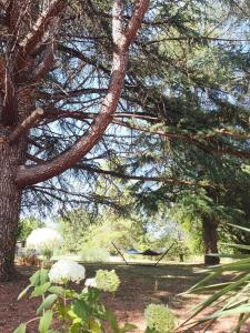 a group of trees and flowers in a park at Morphoses, Maison de créatrice & parc privé près de Chenonceaux in Chissay-en-Touraine
