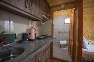 a kitchen with a sink and a bedroom in a cabin at Kozalak Bungalows in Çaykenarı