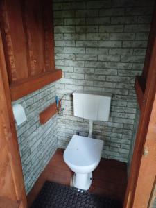 a white toilet in a bathroom with a brick wall at Pole u Daniela in Grzybina