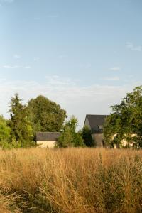 a field of tall grass with houses in the background at Maison d'hôtes le détour en pleine nature in Channay-sur-Lathan