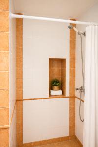 a bathroom with a shower with a plant on a shelf at Posada La Vieja Escuela Valles Pasiegos in San Roque de Ríomiera +85 photos