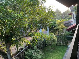 a garden with an orange tree in a yard at Villa Sadalla in Hikkaduwa