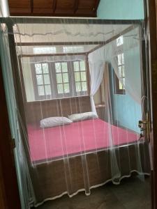 a canopy bed in a room with a window at Villa Sadalla in Hikkaduwa