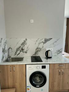 a kitchen with a washing machine and a sink at Mirza Guesthouse in Batumi