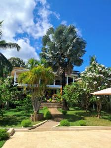 a house with palm trees in front of it at Maison Orita in Nosy Be