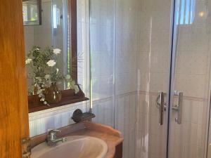 a bathroom with a sink and a shower at La Huerta in Tacoronte